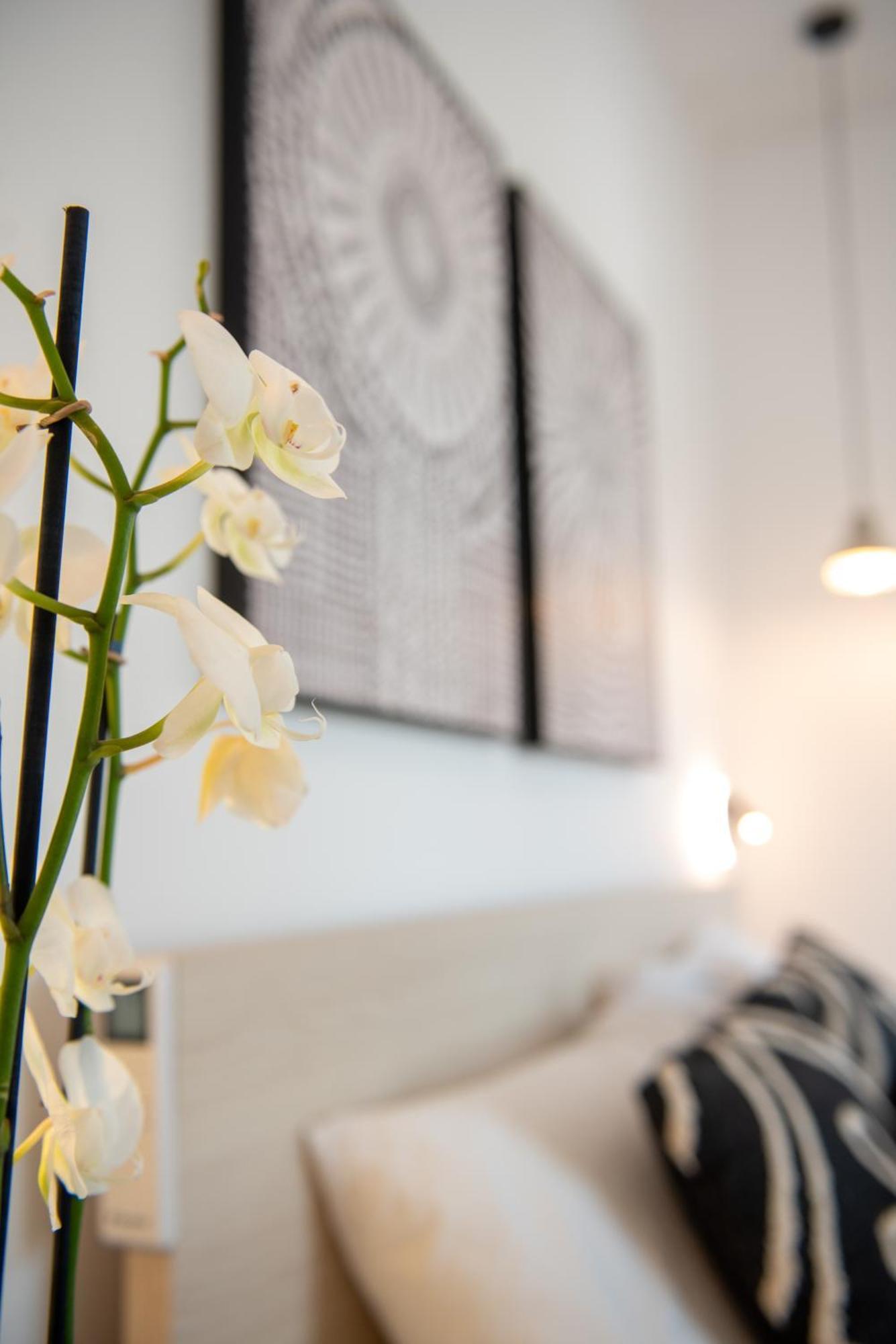 Tiffanys Villas Mykonos Town Extérieur photo